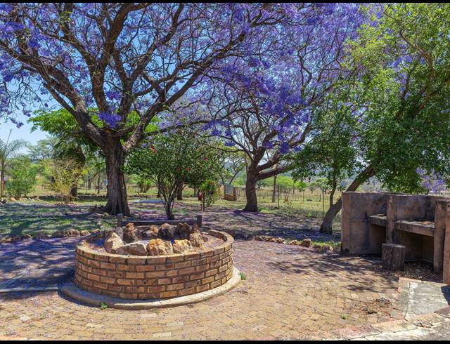 FARM FOR SALE IN DE WAGENSDRIFT AH
